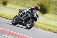 Middle Group Black Bikes